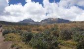 Randonnée Marche Parroquia El Chaupi - montée au refuge Nuevos horizontes - Photo 1