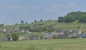 Tour Wandern Bleiberg - 20200527 - Hombourg 11 Km - Photo 11