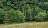Trail Walking Burg-Reuland - Gr5 : Burg-Reuland-Duisburg  - Photo 6