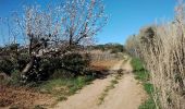 Trail Walking Aubignan - les côtes de st Hippolyte 84 - Photo 1