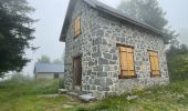 Trail Walking Cauterets - Sentier du Lisey - Photo 4