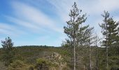 Tocht Noords wandelen Le Bosc - Le Bosc Grandmont Avril 2021 - Photo 15