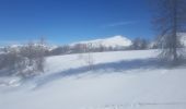 Randonnée Raquettes à neige Colmars - LAUPON 23.02.19 - Photo 6