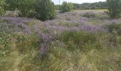 Trail Walking Tourbes - jolie boucle à Tourbes - Photo 20