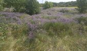 Randonnée Marche Tourbes - jolie boucle à Tourbes - Photo 20