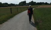 Trail Walking Gooik - paddenbroek-kesterheide - Photo 1