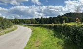 Trail Walking Raeren - Hauset 22,8 km - Photo 12