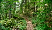 Tour Wandern Saint-Agnan-en-Vercors - Les Rancs de Charles - Vercors - La Coche - Photo 6