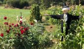 Tour Wandern Saint-Jean-de-Chevelu - Les lacs de chevelu - Photo 1