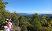 Tour Wandern Plan-d'Aups-Sainte-Baume - Tour Cauvin, dents de Roche Forcade, grotte de la Grande Baume - Photo 1