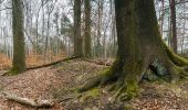 Percorso A piedi Dahlen - Rundweg Schmannewitz-Rote Brücke-Schmannewitz - Photo 4