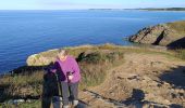 Excursión Senderismo Saint-Gildas-de-Rhuys - pointe du grand Mont - Photo 11