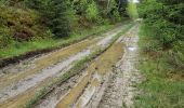 Tocht Stappen Habay - Rulles et environ marbehan - Photo 1