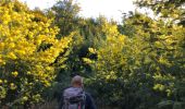 Excursión Senderismo Tanneron - Massif du Tanneron - Bois de Callian - Photo 10