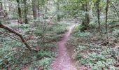 Trail Walking Vendôme - Vendôme Bois de l'Oratoire Circuit 1 - Photo 20
