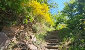 Tour Wandern Goesdorf - Goebelsmühle  - Photo 17