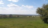 Excursión Senderismo Durbuy - entre le menhir Pire Hena et le dolmen de Weris ... wouai... - Photo 7