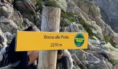 Trail Walking Orto - Manganu Petra Piana - Photo 13