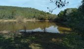 Trail Walking Solliès-Pont - Lac de Montbel - Photo 1