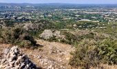 Excursión Ruta Cheval-Blanc - Vidauque-Aires de Bedoin-Aiguille-17082023 - Photo 2