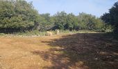 Excursión Senderismo La Roquebrussanne - Jas d'Agnis au départ de la Roquebrussanne par le vallon de Valescure - Photo 15