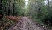 Excursión Senderismo Pays de Belvès - Salles de Belvès 15,7km - Photo 5