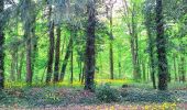 Randonnée Marche Milly-la-Forêt - Boucle Milly la Forêt - Vaudoué via les 3 pignons et les bords de l'école - Photo 3