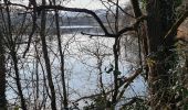 Randonnée Marche Pont-à-Mousson - Pont A Mousson les étangs depuis le port fluvial - Photo 8