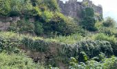 Trail  Neubois - Neubois château du falkenbourg  - Photo 5