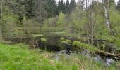 Tour Zu Fuß Thierstein - Wanderweg Selb-Thierstein - Photo 5