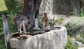 Trail Walking Saint-Paul-sur-Ubaye - la fouillouse - Photo 1