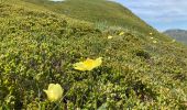 Trail Walking Dienne - Laqueuille seycheuse vassiviere Peyre-Gary  - Photo 5