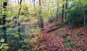 Tocht Stappen Luik - liège - angleur  - Photo 9