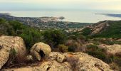 Trail Walking Calvi - Calvi - Capu di a Veta - Croix des autrichiens - Photo 11