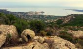 Excursión Senderismo Calvi - Calvi - Capu di a Veta - Croix des autrichiens - Photo 11