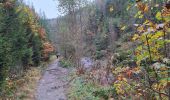 Trail Walking Waimes - RS 2024_10 Botrange  - Photo 17