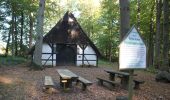 Tocht Te voet Malente - Rundweg Holzbergturm - Photo 2