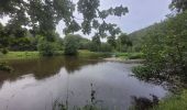 Tocht Stappen Vresse-sur-Semois - rando laforêt 23-08-2024 - Photo 6