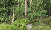 Trail Walking Unknown - Lavardin - Chemin de la roue des Carriers - Photo 16