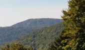 Tour Wandern Saint-Maurice-sur-Moselle - Rouge Gazon - Lacs des Perches et du Neuweiher - Col des Charbonniers  - Photo 20