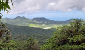 Tour Wandern Le Morne-Rouge - Morne Jacob via Morne-Rouge - Photo 18