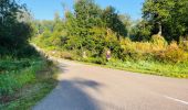 Tour Wandern Villers-Cotterêts - en Forêt de Retz_89_09_2021_les Ventes Racines et le Chablis des Bouleaux - Photo 18
