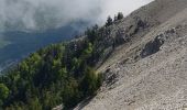 Randonnée Marche Saint-Étienne-les-Orgues - Montagne de Lure, le Cairn 2000. - Photo 3