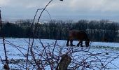 Trail Walking Rochefort - Jemelle - Photo 4