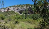 Excursión Senderismo Malaucène - Rand'eau gorges du toulourenc - Photo 9