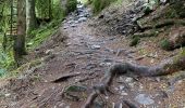 Excursión Senderismo Gérardmer - tour du lac et cascade Merelle  - Photo 10