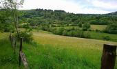 Trail Walking Albepierre-Bredons - Cantal - Albepierre - les Cascades - 9.6km 330m 3h25 - 2019 06 23 - Photo 4