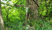 Tocht Stappen Durbuy - Bomal sur Ourthe 170625 - Photo 20