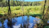Trail Walking Trois-Ponts - logbierme 060824 - Photo 8