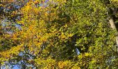 Tour Wandern Overijse - #221024 - Jesus-Eik, Arboretum, Kapucijnenbos - Photo 8